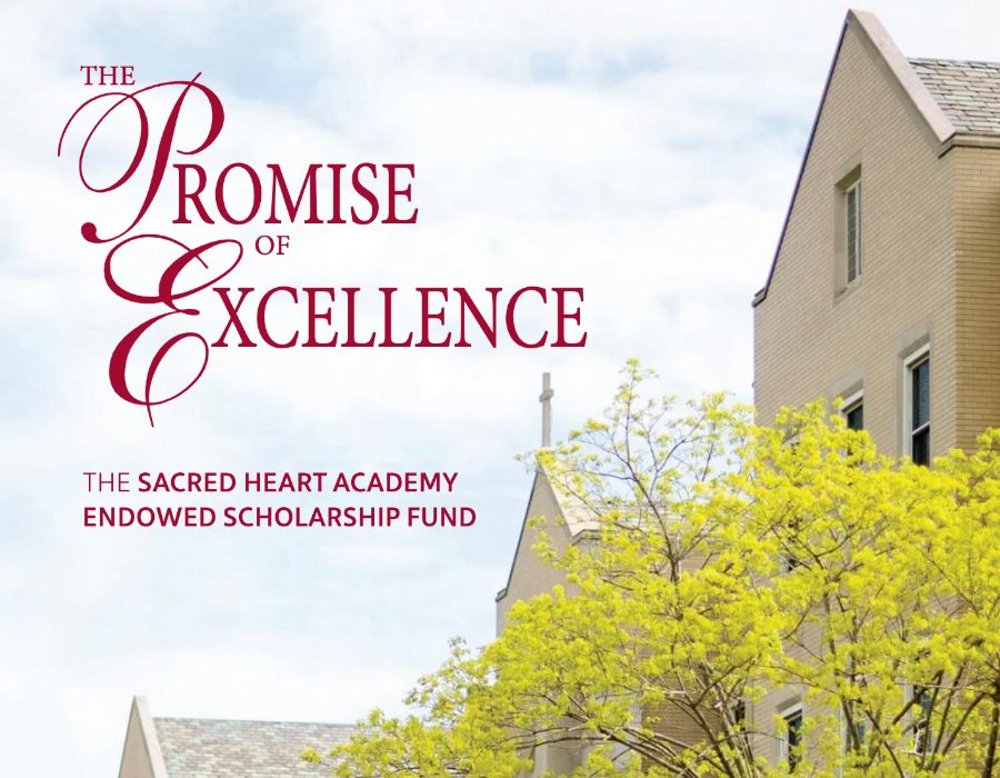 The Promise of Excellence cover